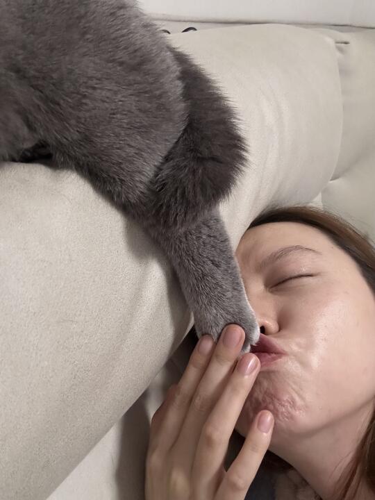 养了猫才知道什么是生理性喜欢。。。