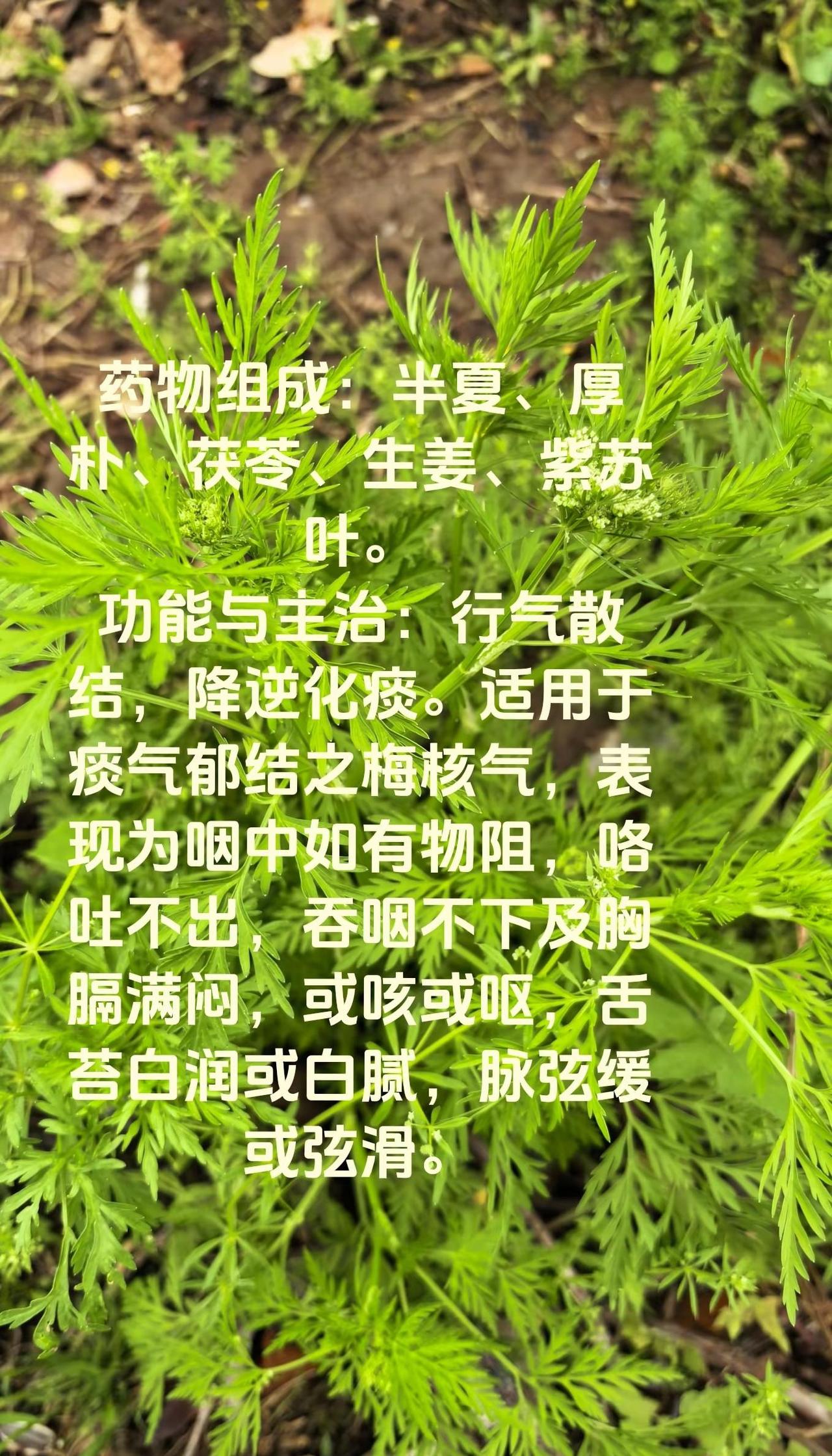 认真的听，仔细的品，答案不难发现，送给有须要的朋友，听懂的是个宝，本人真实案例，