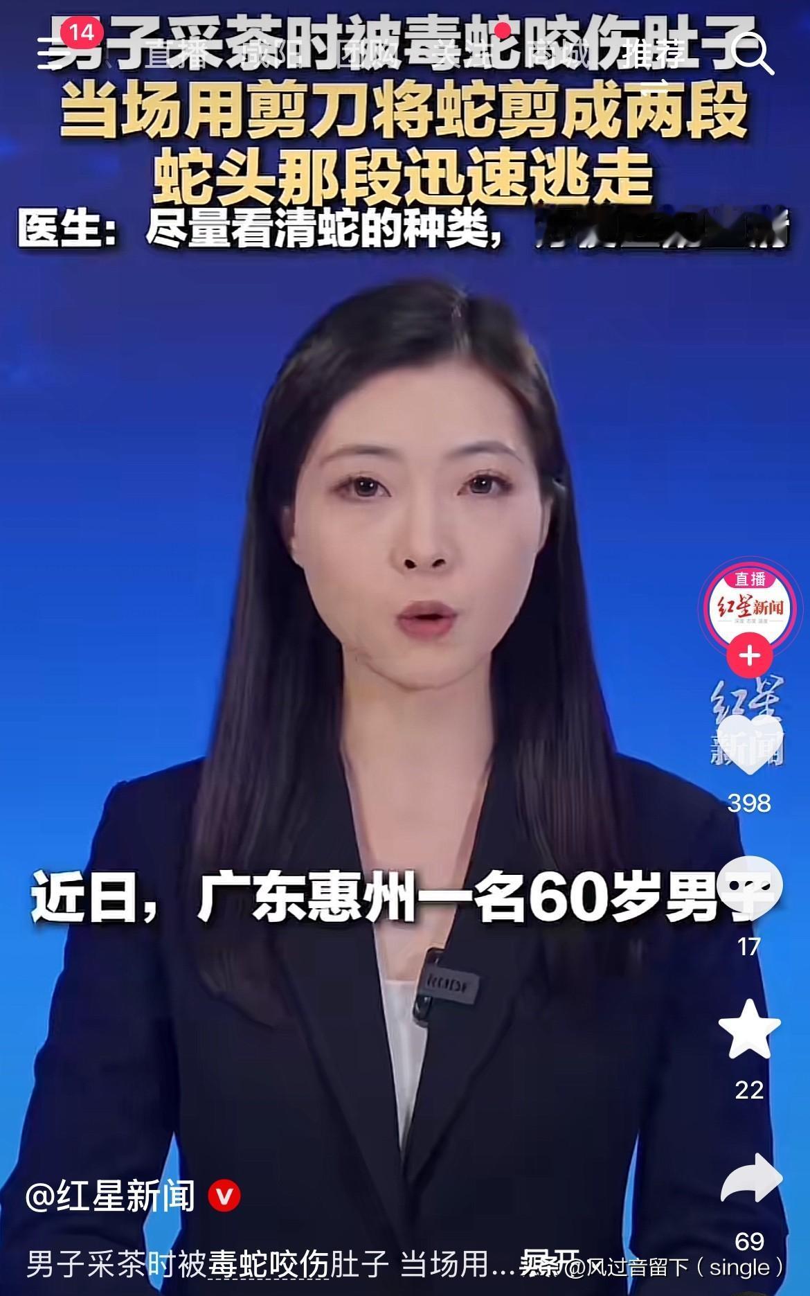 蛇成两半了都能跑了！
近日，广东惠州一个60岁的男的上山正在采茶，突然一条竹叶青