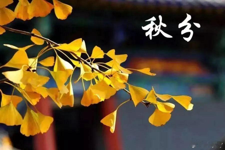 不负秋光，不负自己[微风] ​​​