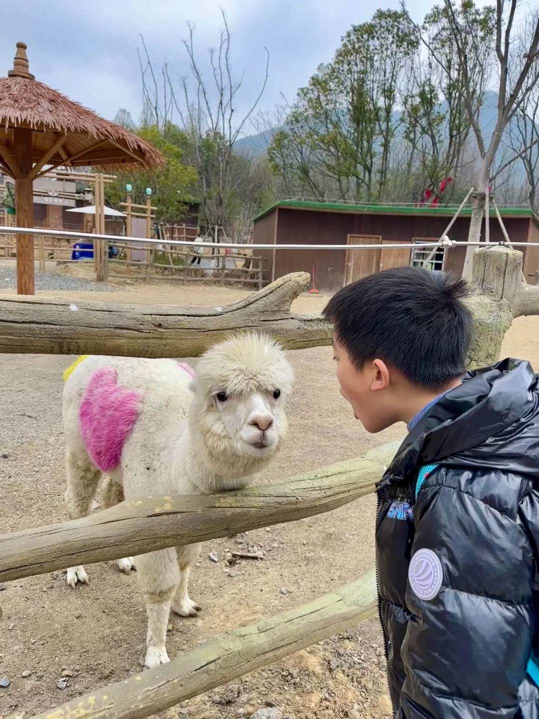 在安吉|藏在山谷里的艺术民宿