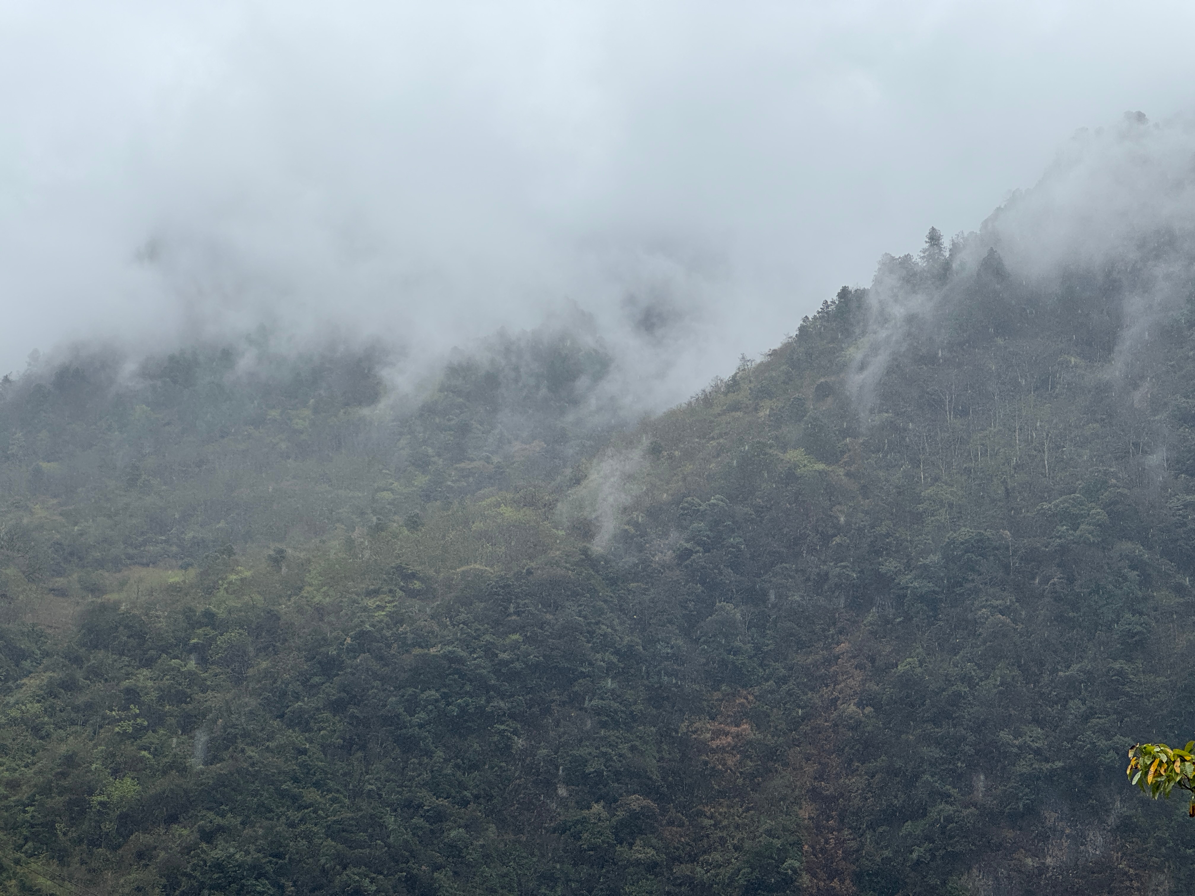 揽巡勇闯丙察察  云南丙中洛，人神共居之地。雪山为城，江河为池。这里同时也是丙察