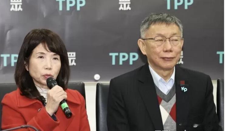 陈昭姿回击林国成：“我跟柯文哲订的不是两年条款”

民众党不分区立委两年条款期限