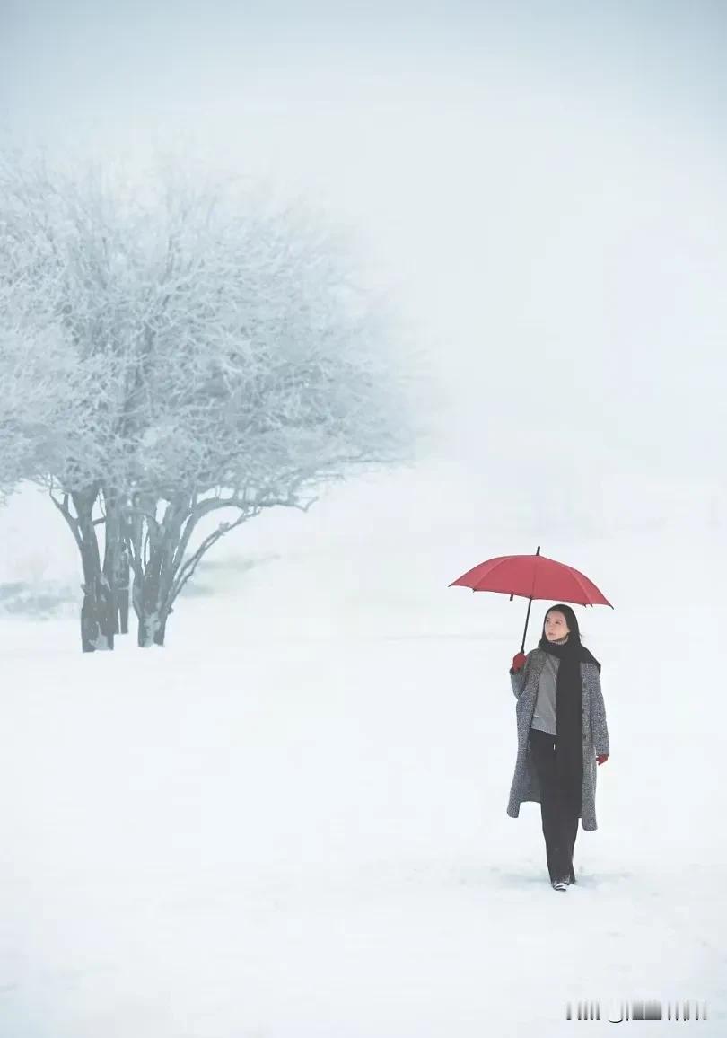 《雪中漫步》
（原创首发）陋室听秋/文
 
雪，无声地飘落
像一封封来自天际的洁