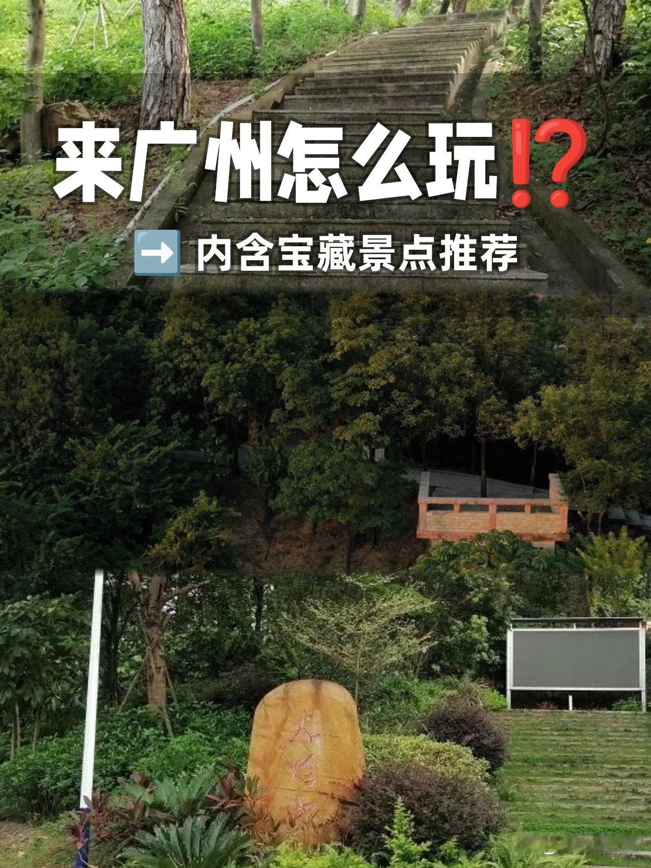 🌿火炉山华快观光点·城市绿肺漫游指南

谁说城市里找不到天然氧？这个藏在市中心