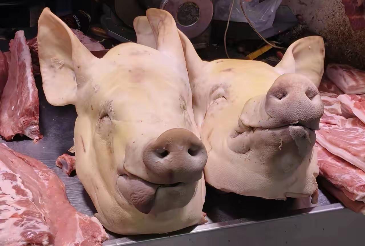 过年桌上，总少不了一大盘切得整齐的猪头肉。它不单是一道菜，更是许多人心里抹不去的