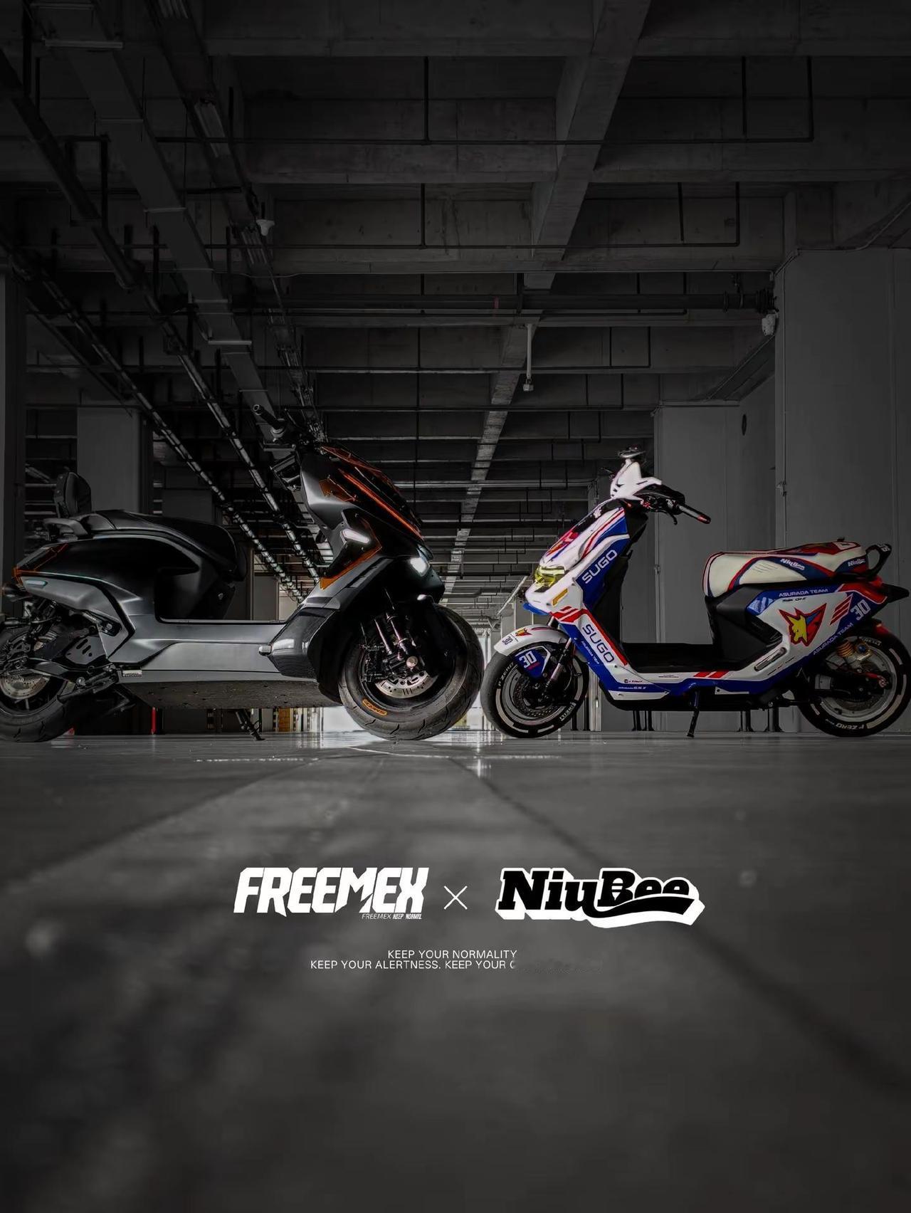 极核九号双子星🌟🌟part 2FREEMEX NIUBEE 九号n1改装 极