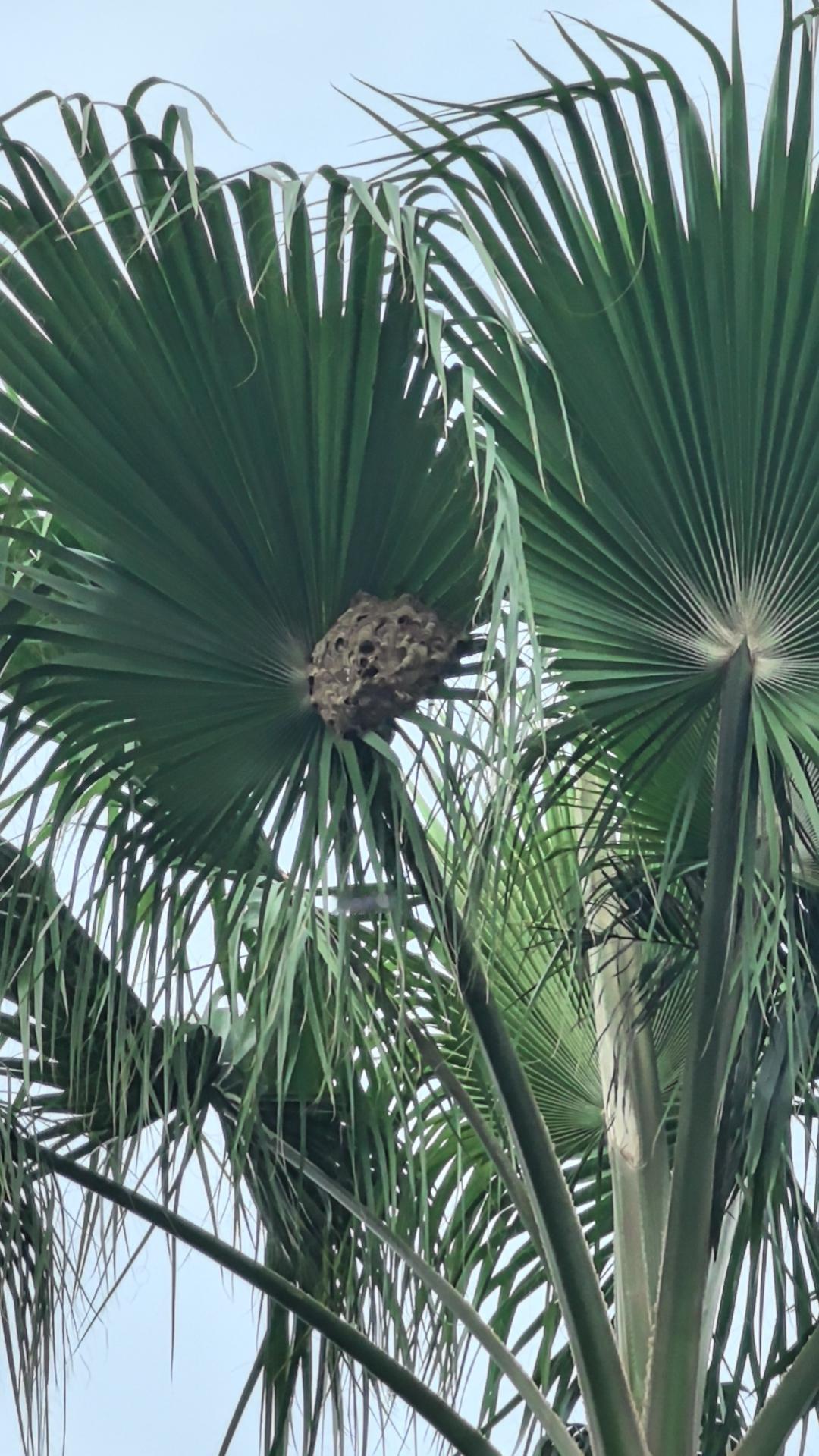 我很少叫外卖，没碰上超时的情况，但我觉得都是奔波生活的甘苦人，何必相互为难呢！