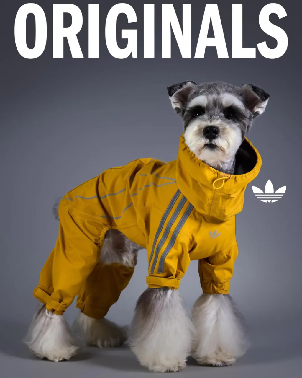 adidas Originals Made a Winter Collectio