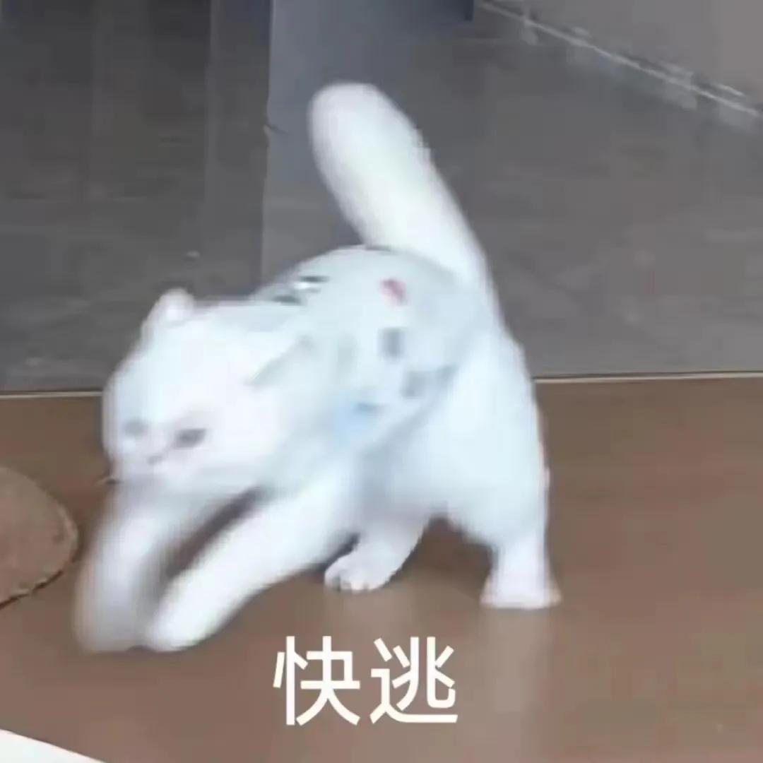 山静：无虫鸣鸟语
鸟声远：天渐渐的暗下来，鸟儿也休息了