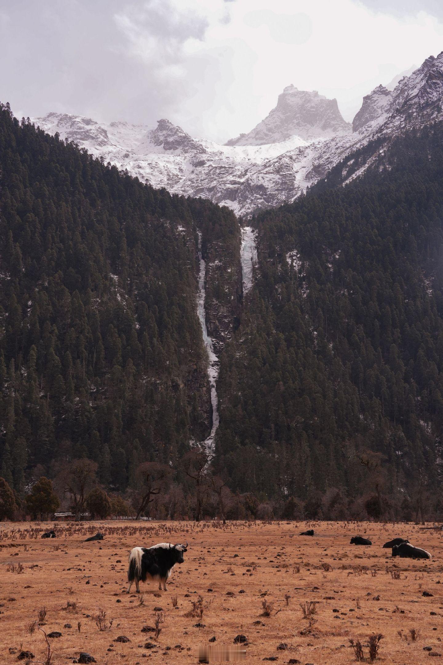 小菌 自由跟生命一样重要。不是那种口号式的而是在每一个具体的瞬间 