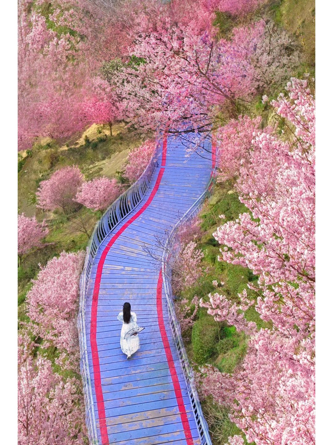 谁懂啊…这个季节去桐庐赢麻了‼️附拍照机位