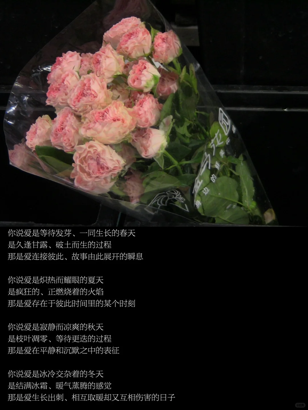 去爱，去感受，爱是一场散步时的同频共振。