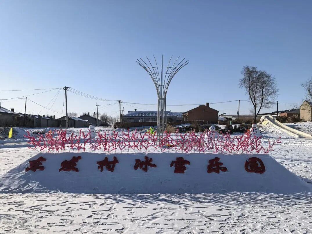双城又建一冰雪乐园

寒冬时节，哈尔滨市双城区周家街道东发村银装素裹，一处占地1