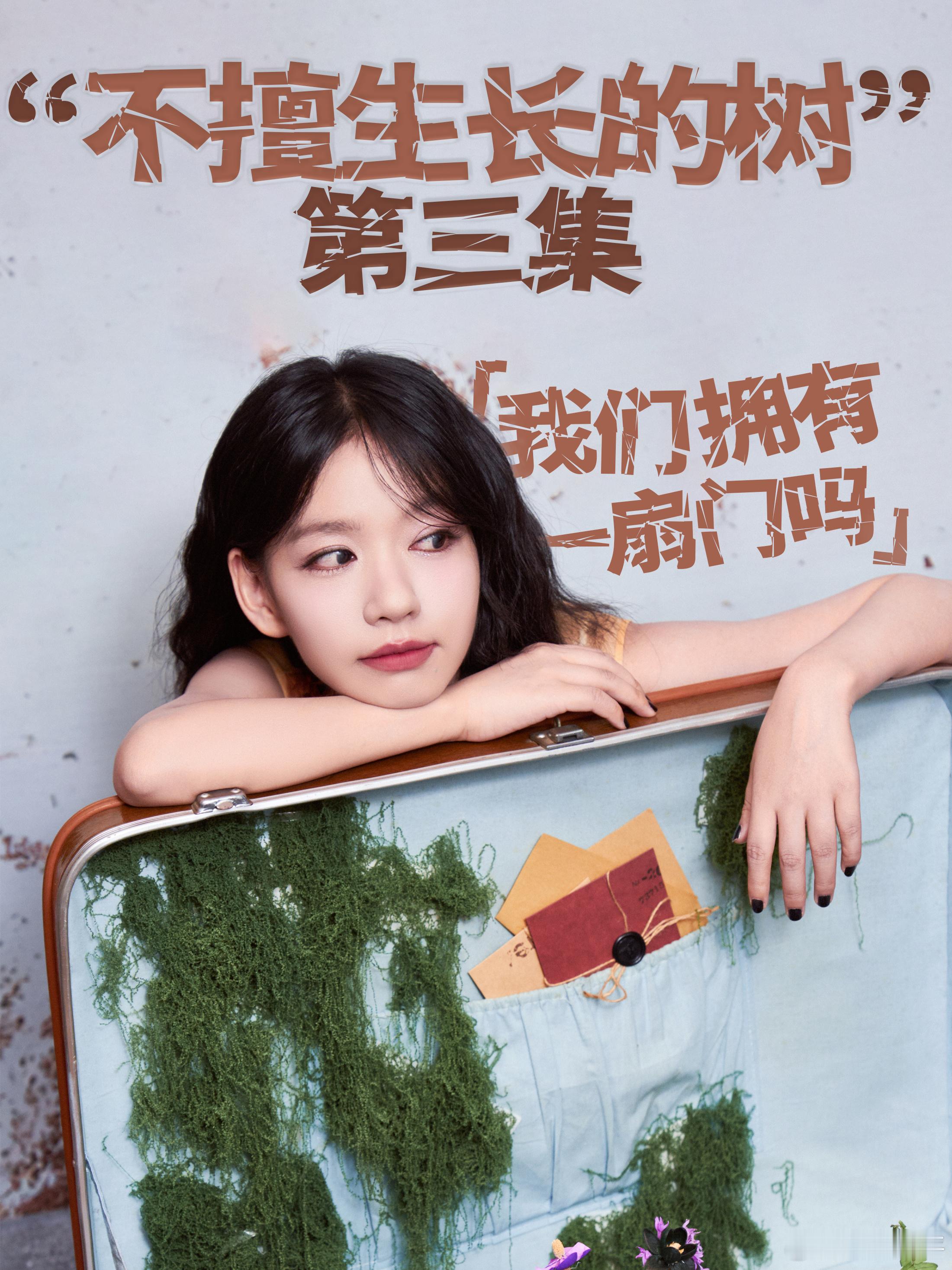 房东的猫新专辑不擅生长的树房东的猫新歌我们拥有一扇门吗 “不擅生长的树”第三集「
