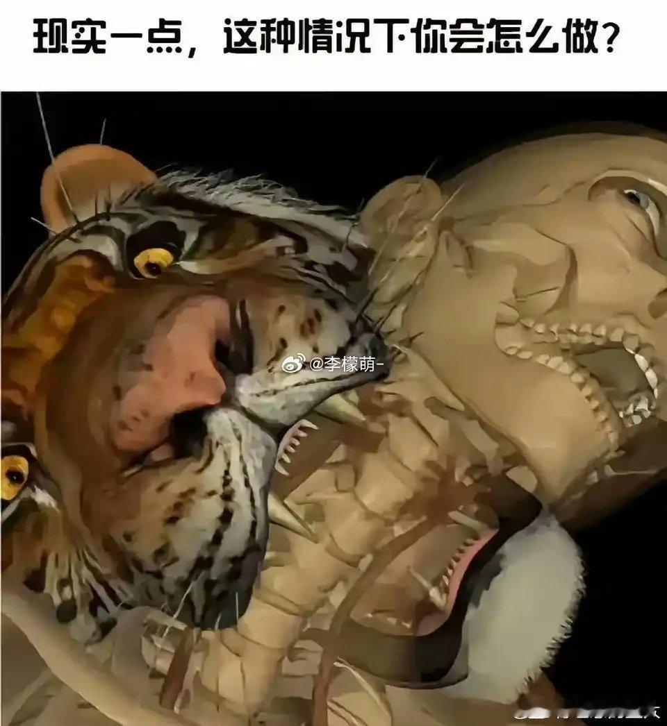 这种情况该怎么反杀？ 