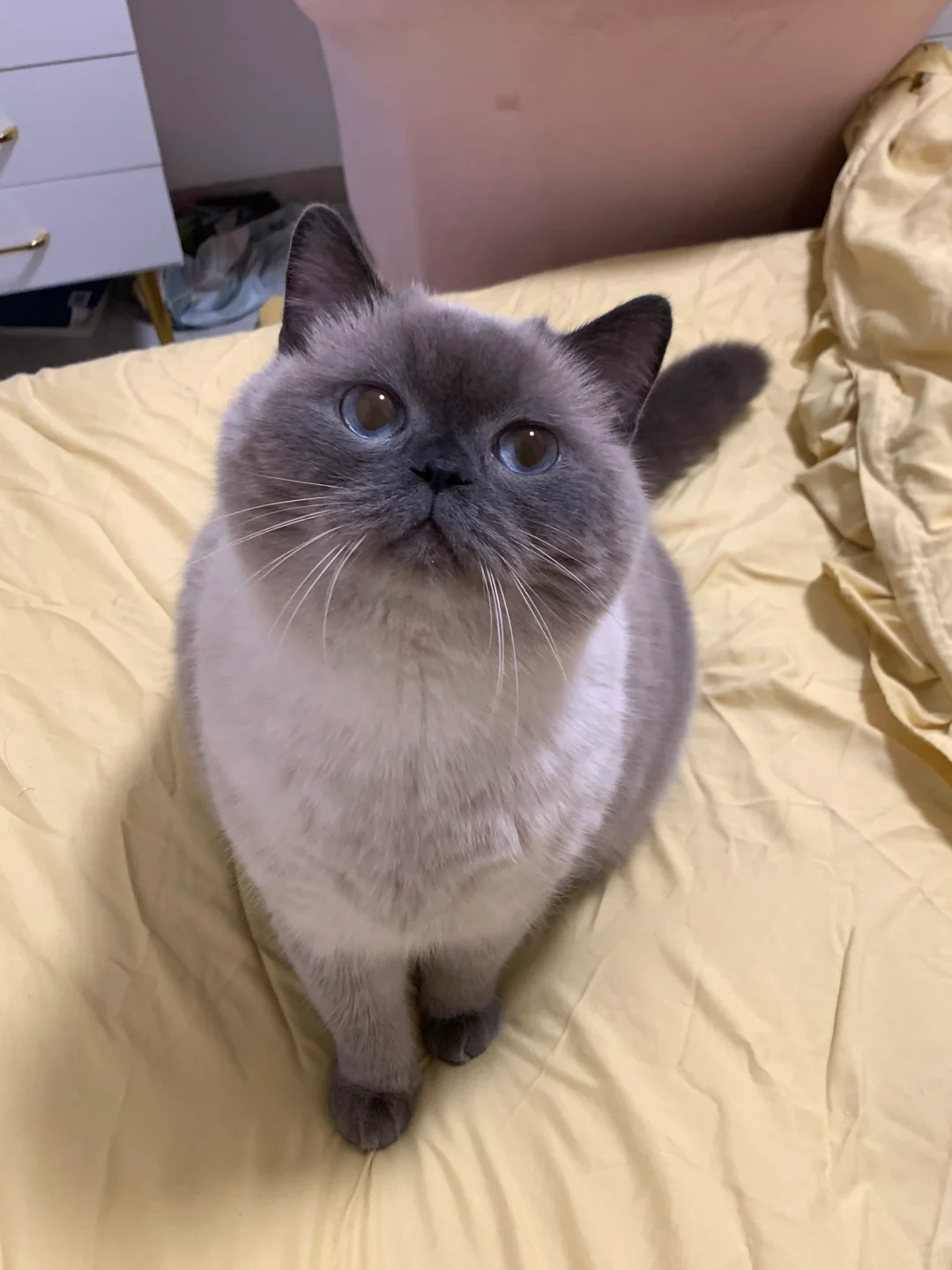 没洗脸但可爱！批准上床！