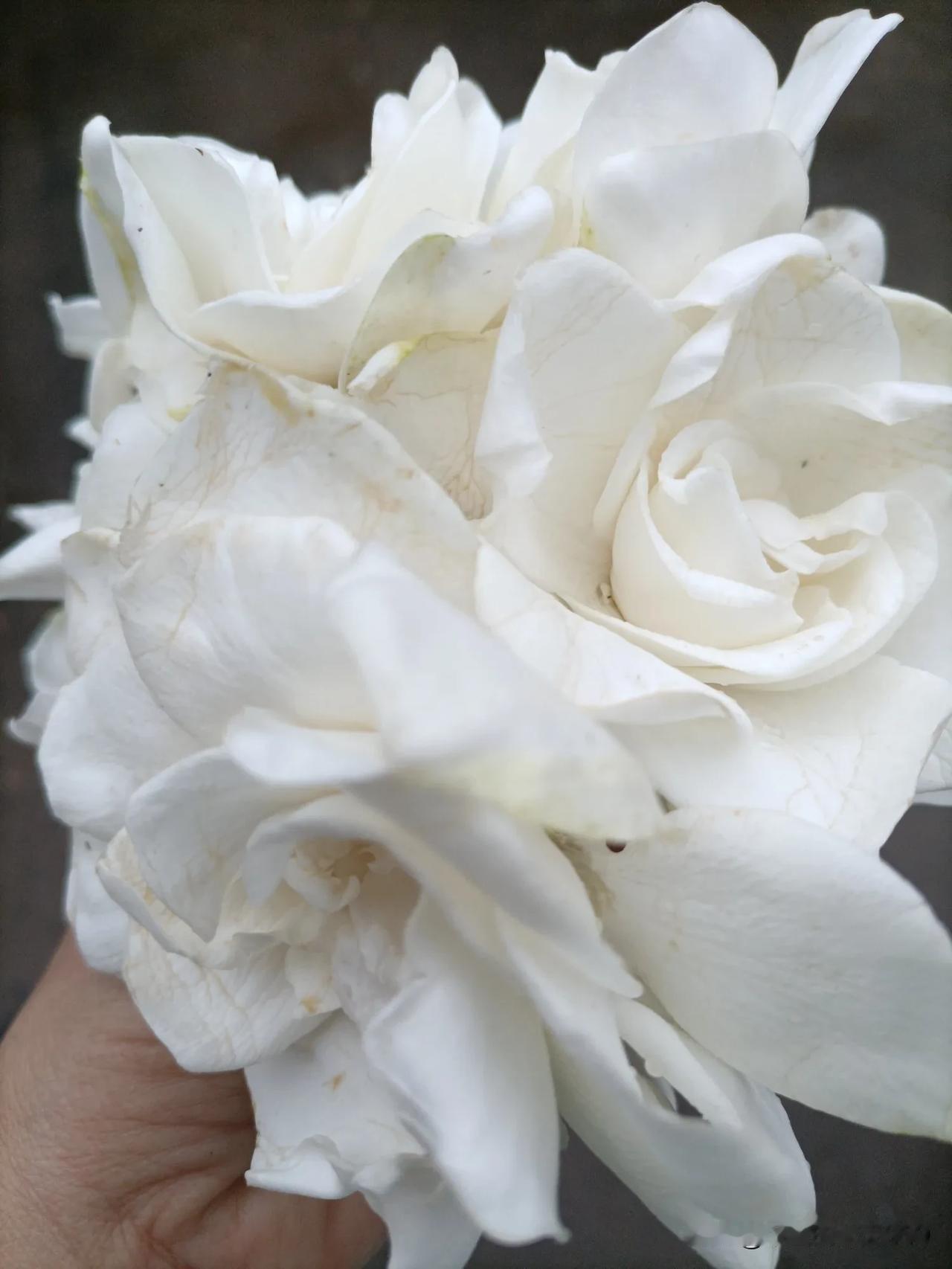 我的端午节必备就是栀子花和桃子！