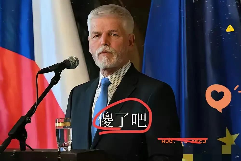 我现在就想问问这位捷克总统：被中国拉黑是什么滋味？

一国总统被世界上一个大国宣