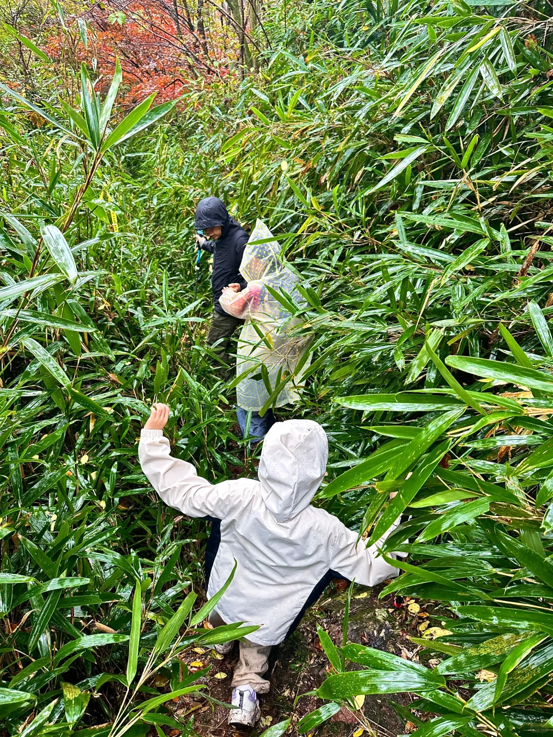 江浙沪徒步 | 宁波奉化黄泥浆岗