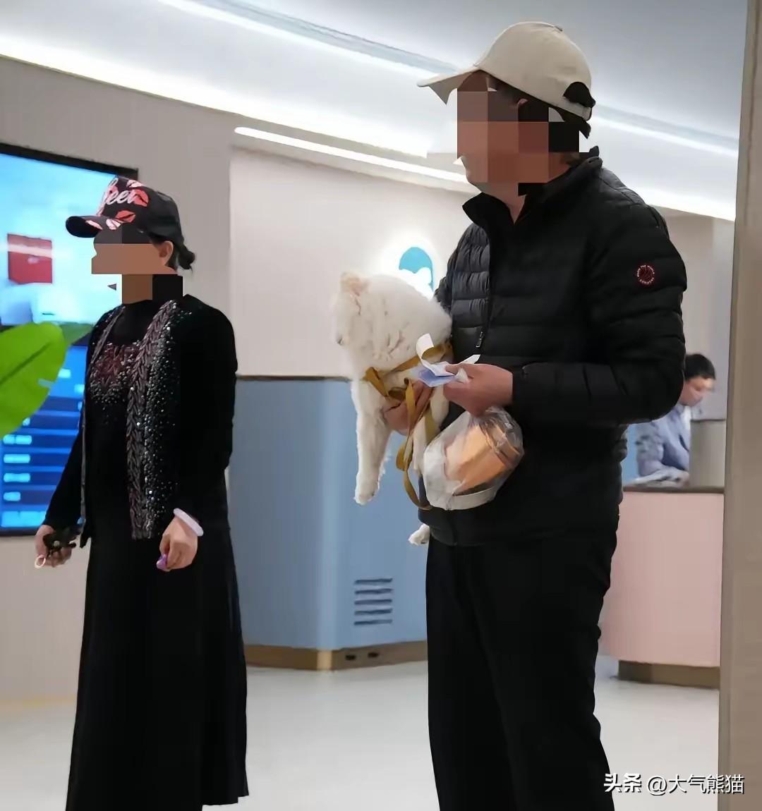 这样的做法不发财都难！
郑州一家汉庭酒店，为了守住“不接待带宠物的客人”的规定，