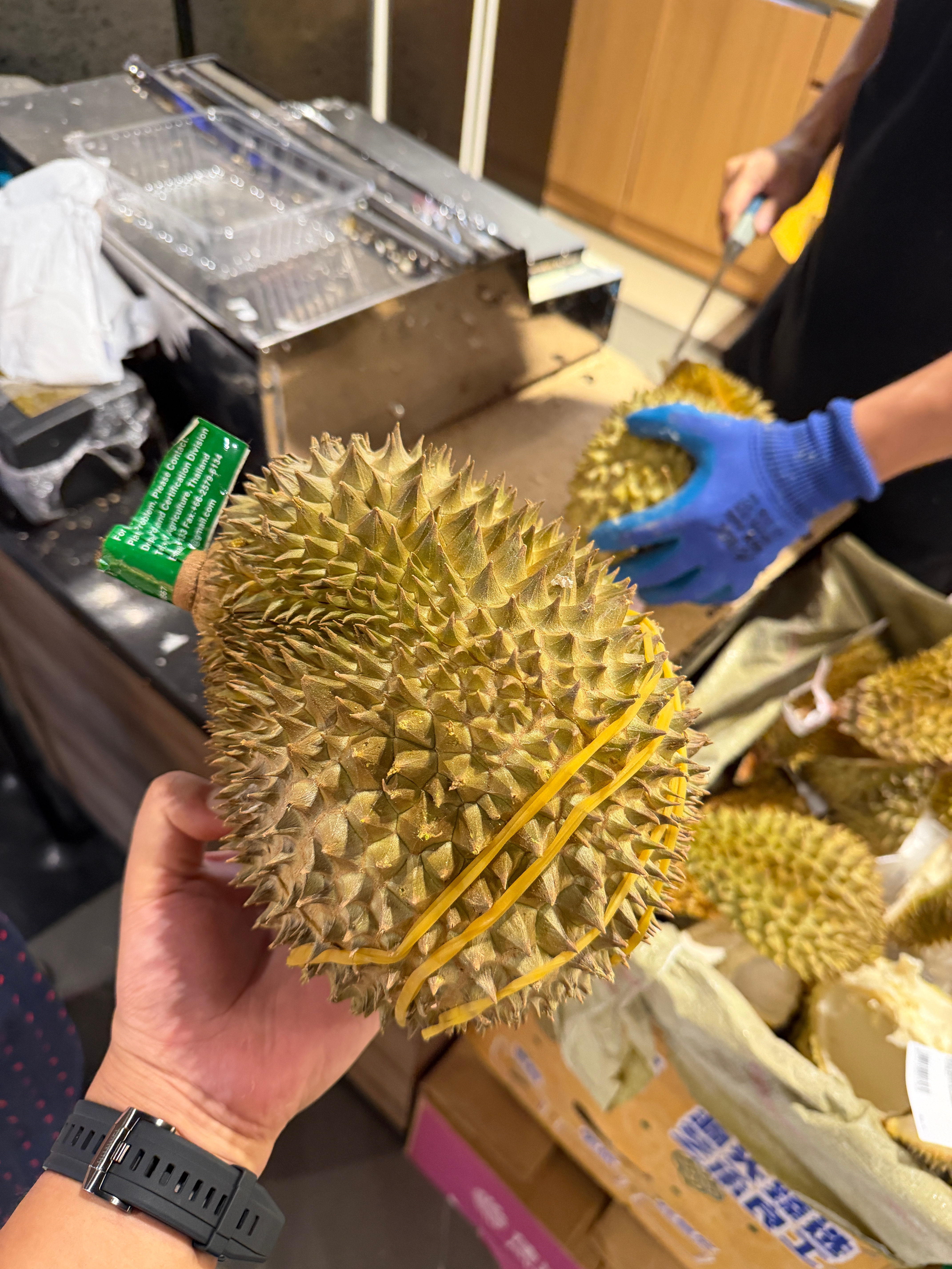 现在果然是吃榴莲的最好时机 在Ole超市挑了个榴莲 这么一大盒才花了67 深圳·