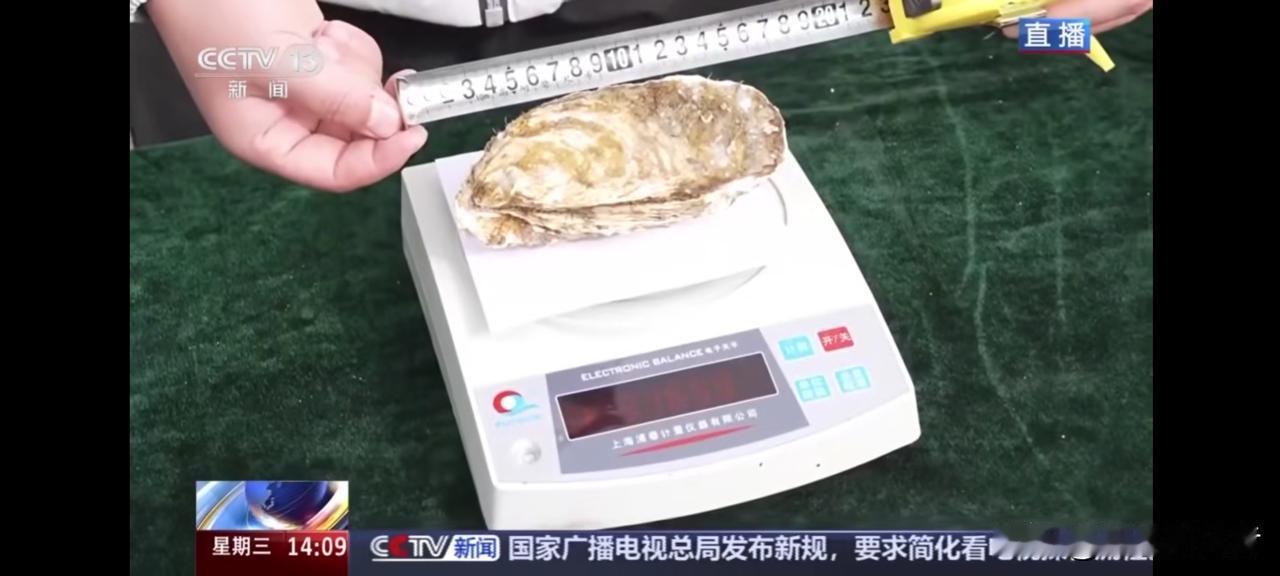 你吃的生蚝有可能不是“海鲜”，而是“沙鲜”
 
别以为生蚝就一定产自大海！
现在