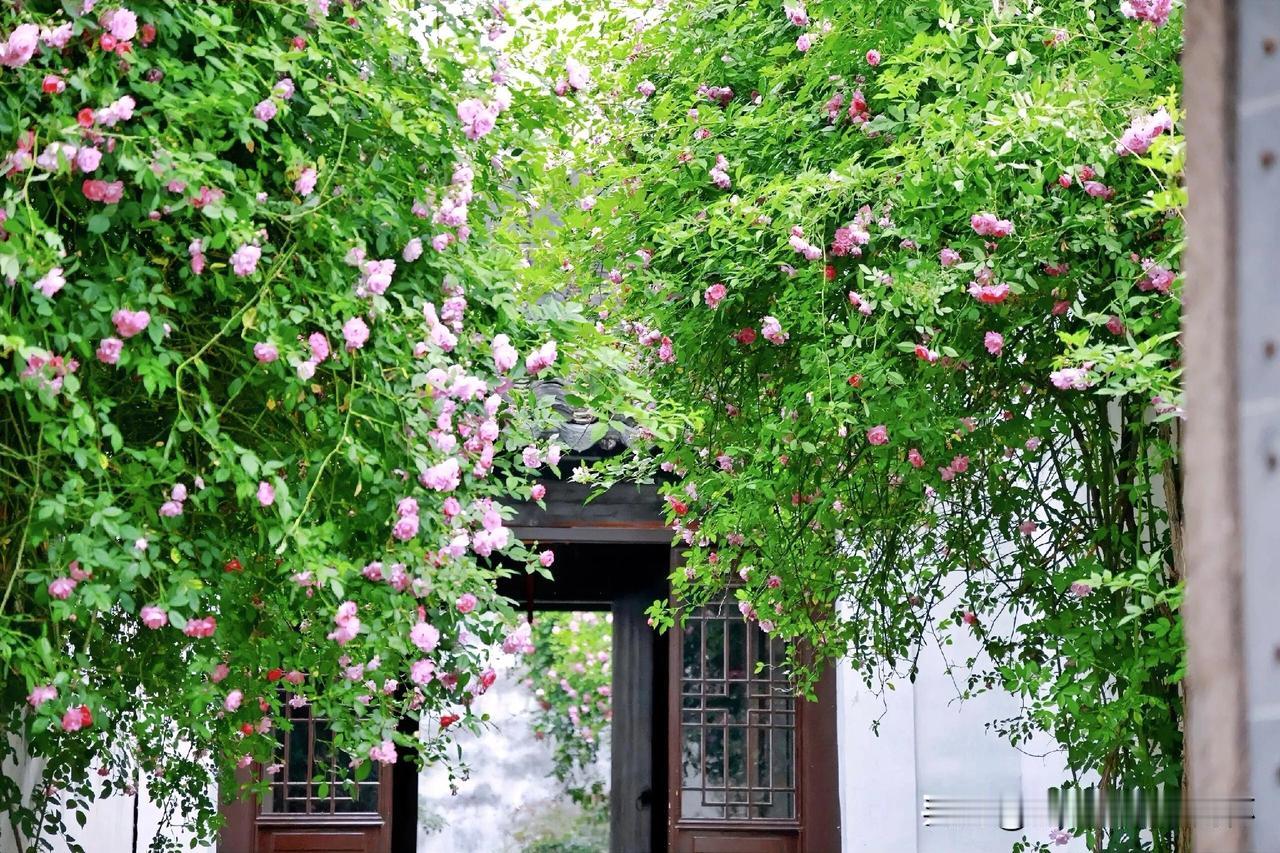 上联：春花满眼空园暖
上联：有请雅士[玫瑰][玫瑰][玫瑰]