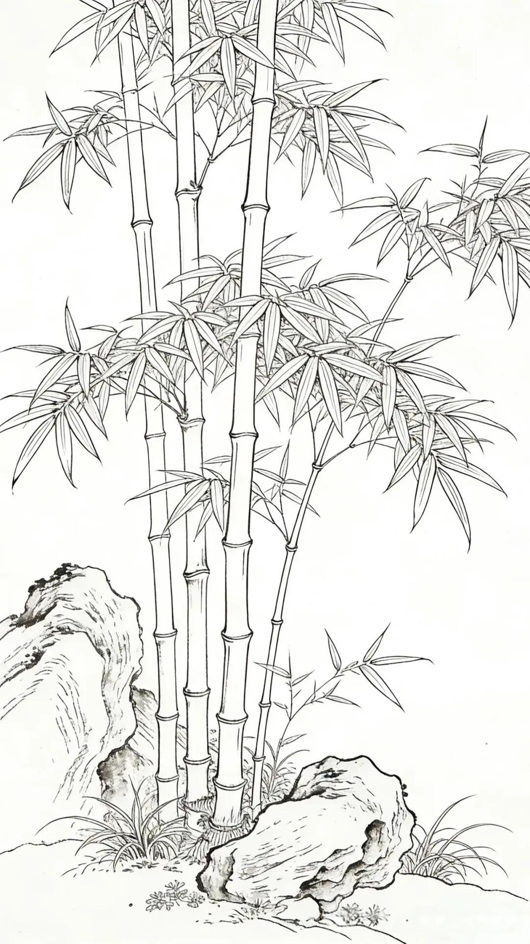 素材|竹报平安 附白描
绘画 素材