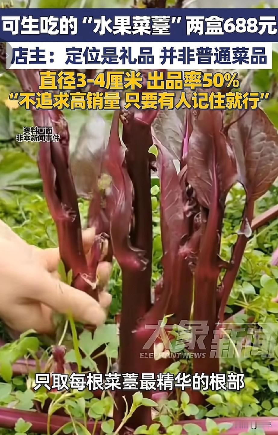 菜苔吃出新花样，当成水果卖出天价，两盒就卖688元，到底值不值？
 
你敢信吗？