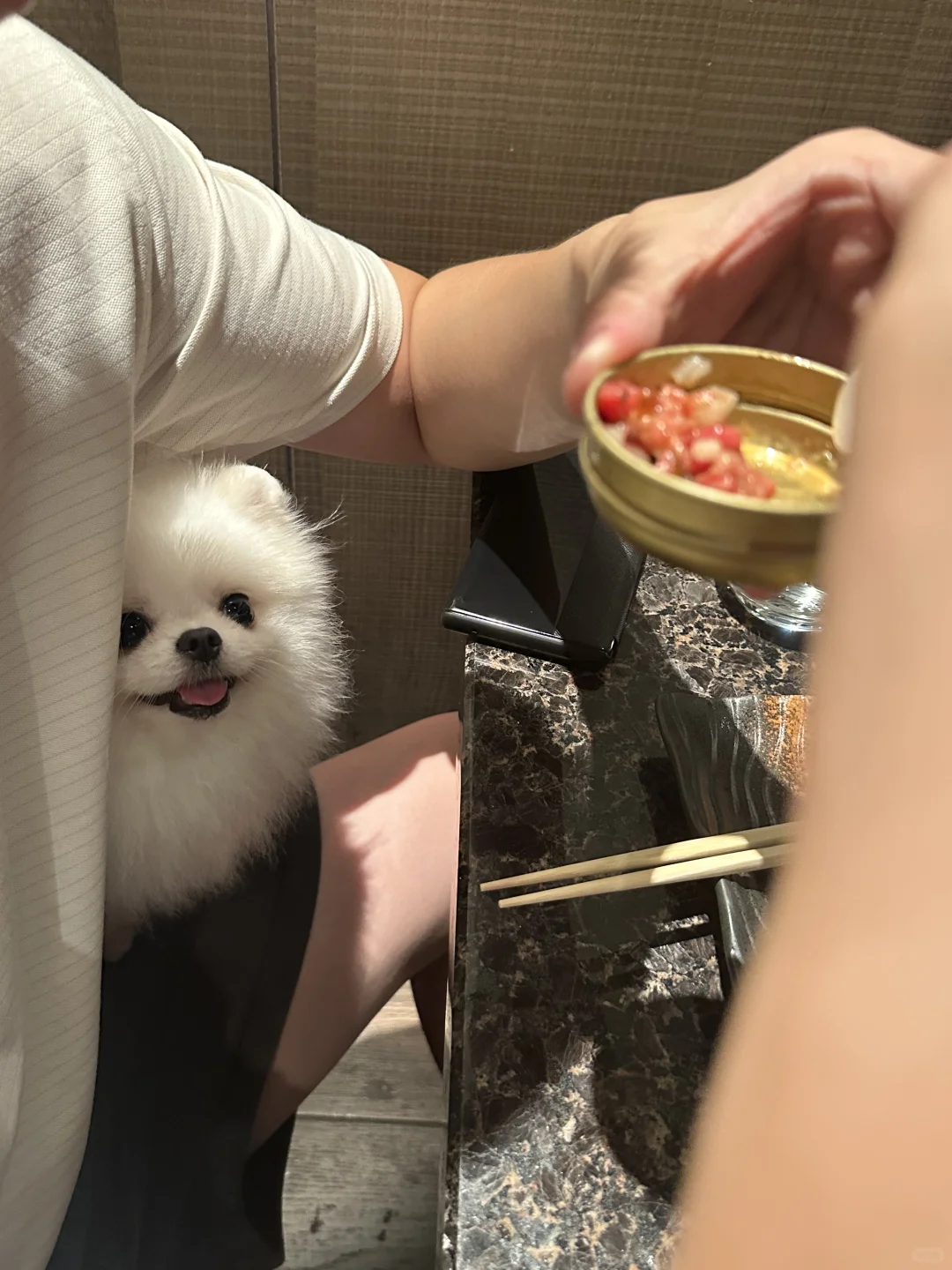 真的不给超绝可爱小狗来一口吗🥺✨