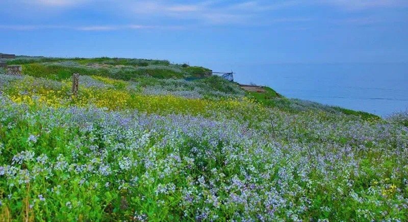 浙江 渔山岛，给人的第一印象便是清新的空气，再加上蔚蓝的天，湛蓝的海，更是令人心