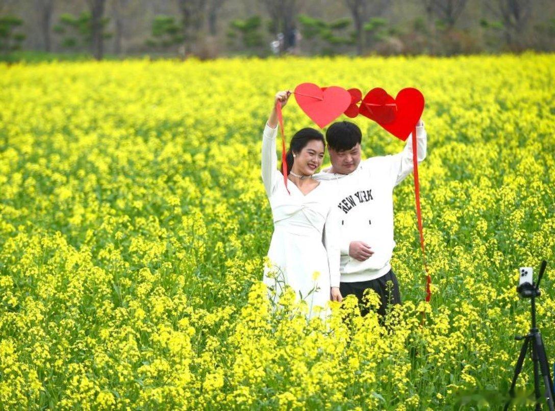 最美人间四月天，随着气温回升，草原青城#呼和浩特# 春意盎然，暖阳高照，小草渐绿