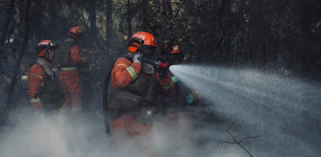 夜色压进山林，烟雾还没散去，
他们已经在灰烬与火星之间，一步步往前。

没有路，