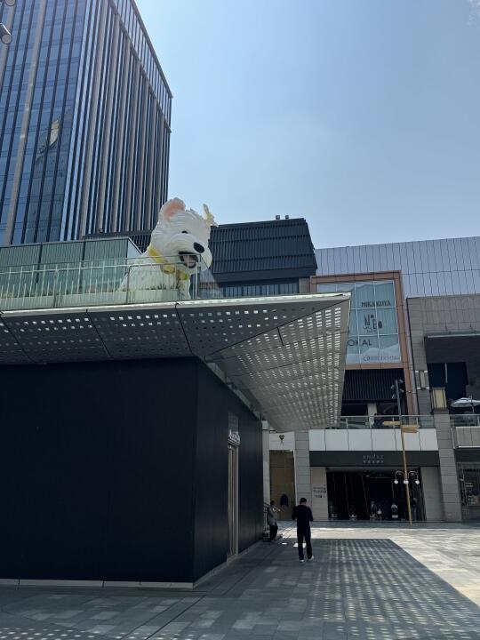 谁家的小狗到万象城啦