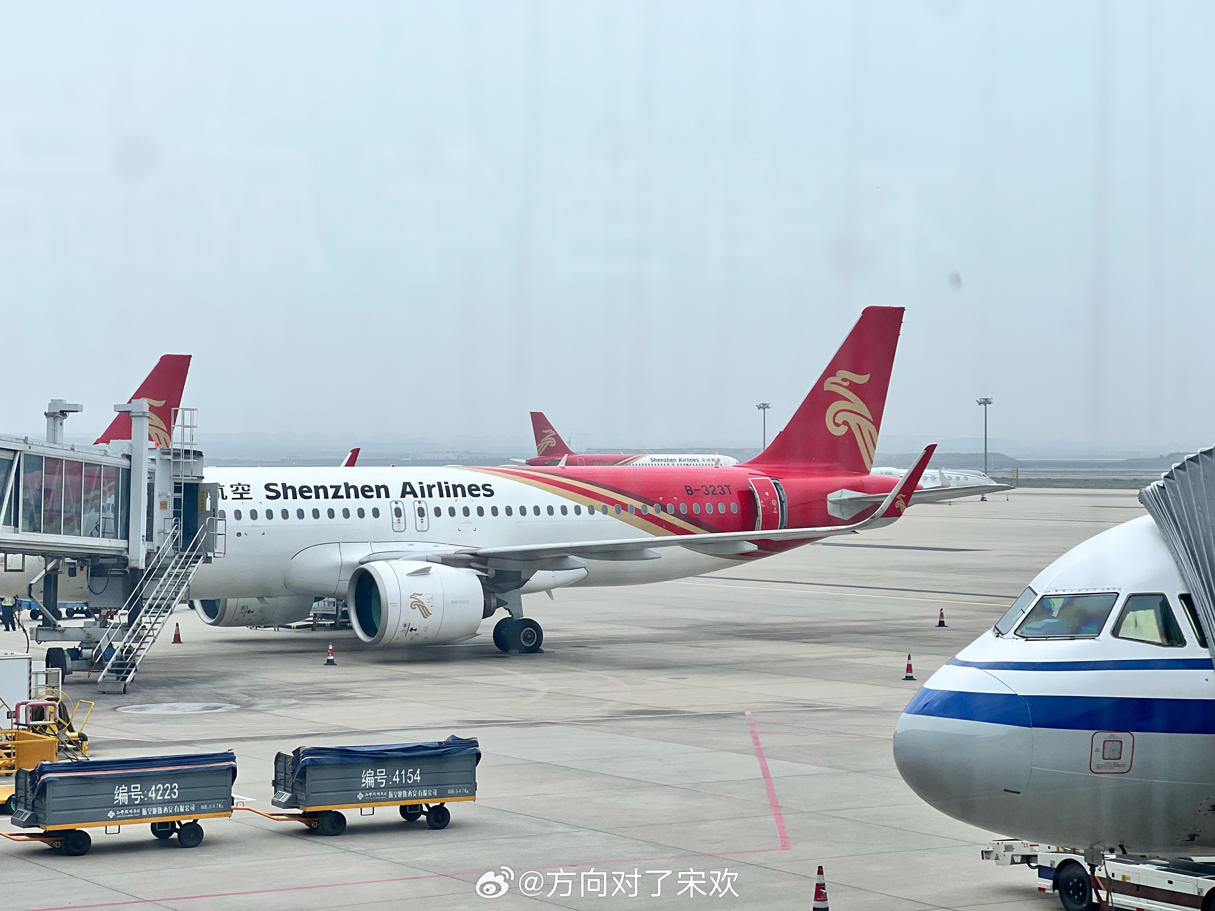 春风得意马蹄疾，一日看尽长安花  ​​​