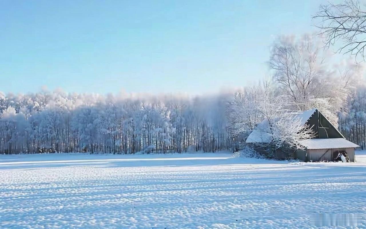一年中最冷的半个月轻风小寒吹浪花，新柳茸茸啼乳鸦。明天（5日）小寒。请允许我先提
