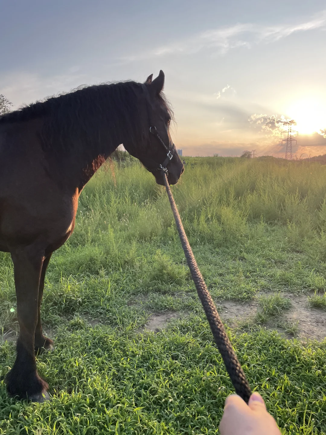 雨后天晴遛马☁️