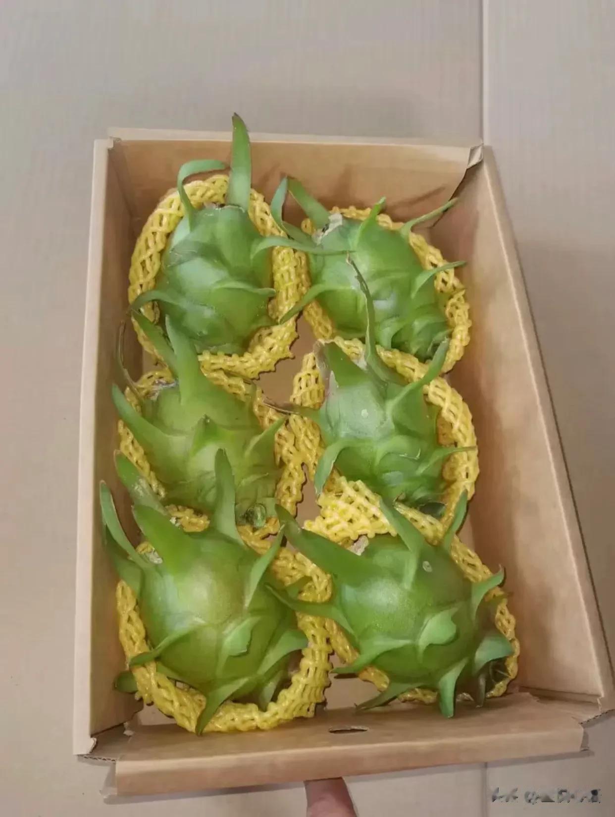 第一次吃绿色火龙果，酸酸甜甜的[害羞]
广东的朋友寄过来的，给我们尝尝鲜……
酸