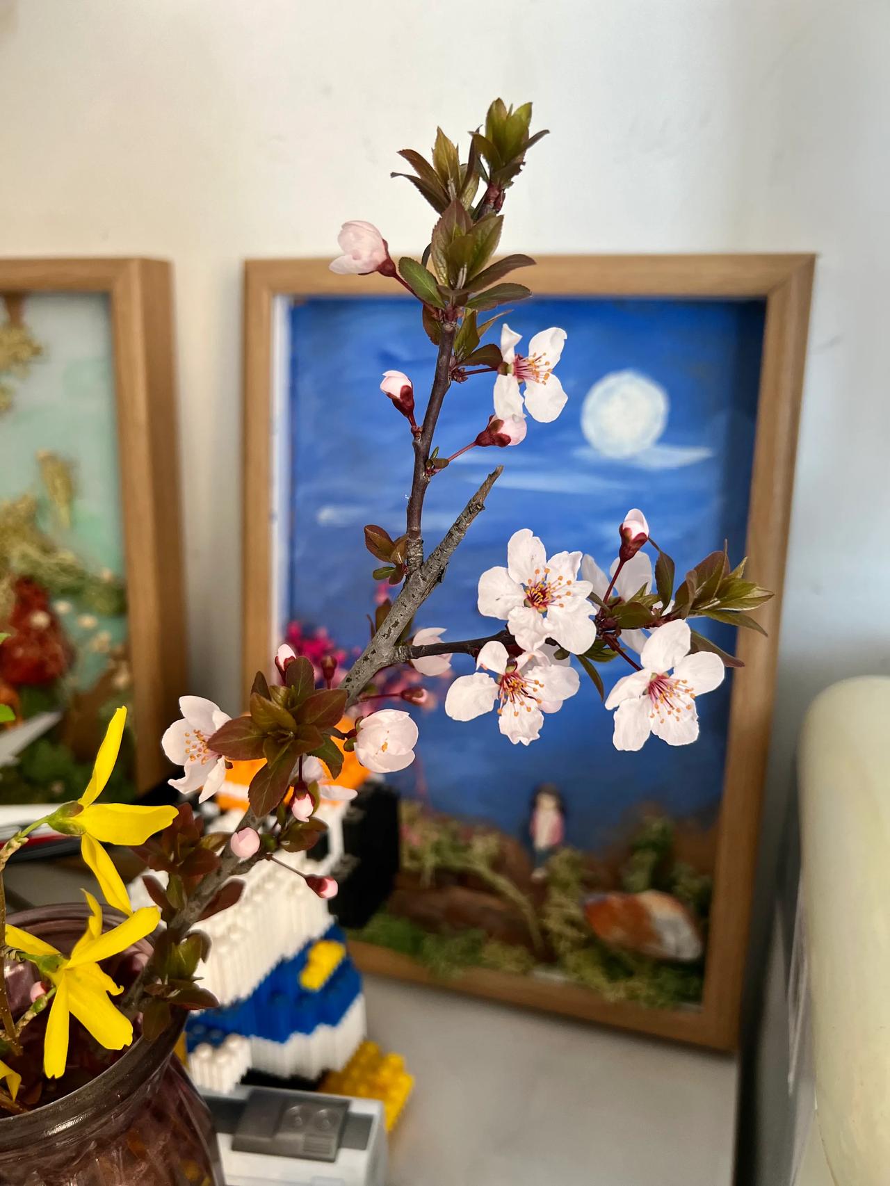 春风拂面花如锦，月色清辉照画屏。