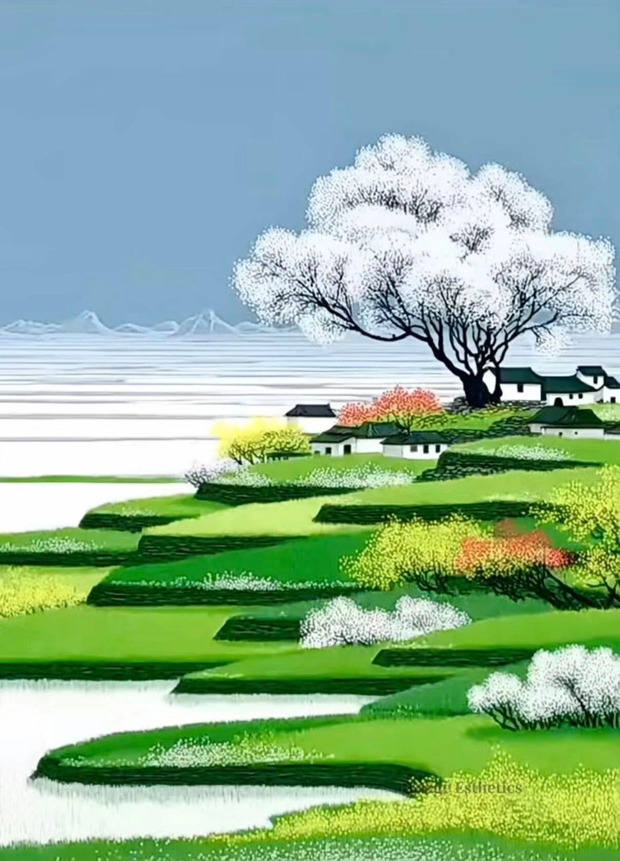 拍美丽的花儿