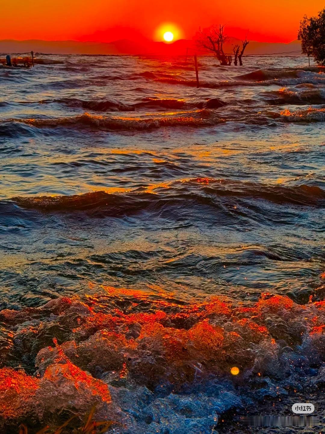 唯美壁纸谁不喜欢