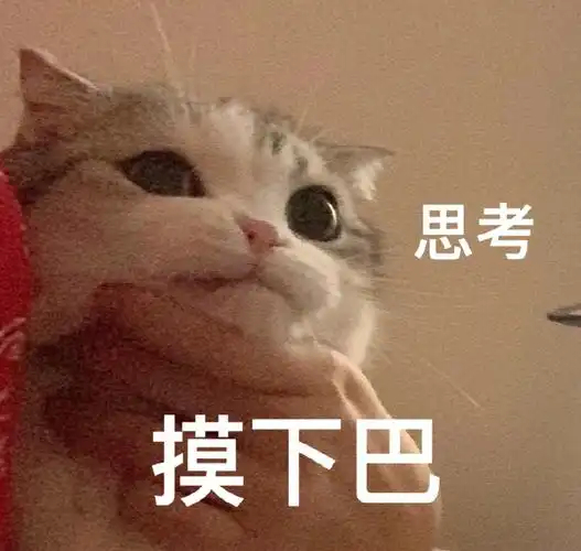 这个荣耀卡点1005打卡了小赞赞的快乐老家重庆，还特意换了magic9 pro 