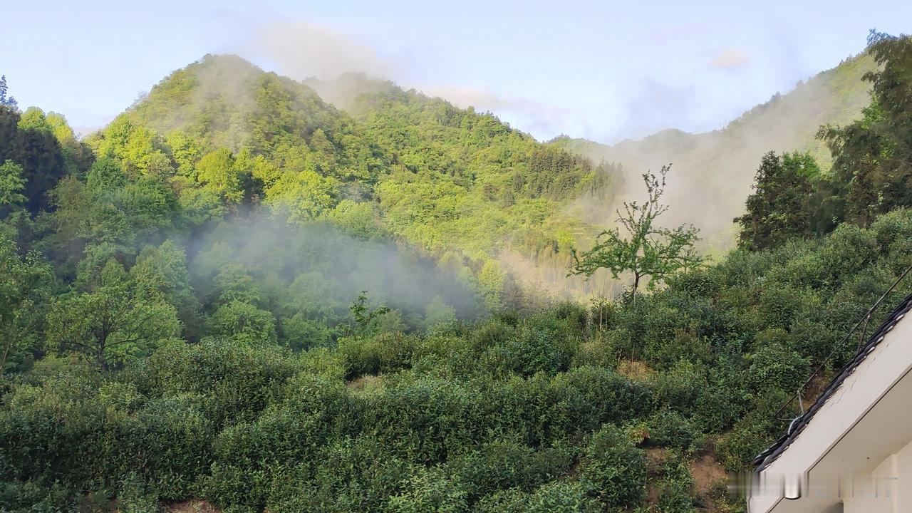 连绵的青山，翠绿翠绿的。在山峰和山腰间一团团的晨雾，不紧不慢地浮动。浮动。
一会