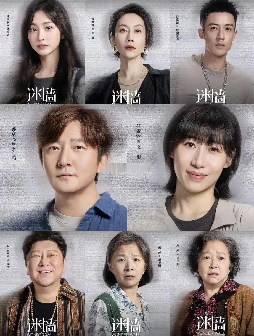 不查不知道查了才发现《迷墙》这部剧真是大有来头，妥妥的国剧圈王炸组合——导演邢键