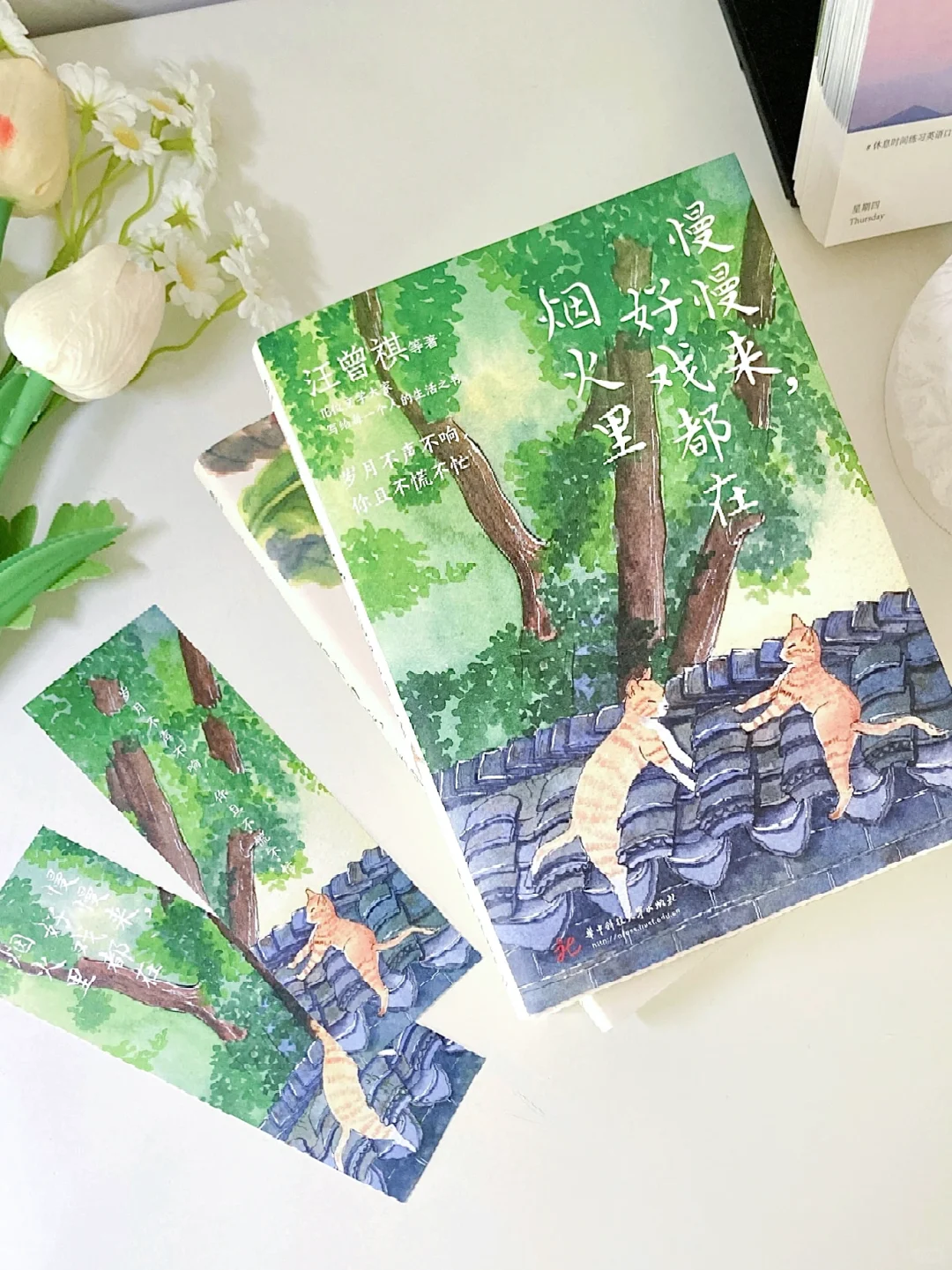 🌿这本春天里的散文，真的好治愈啊❗️