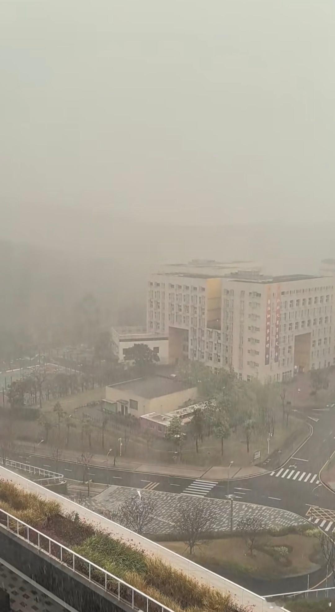 宅家看深圳暴雨还好今天没出门太恐怖了这都不是落汤鸡能形容了[老师好]  ​​​