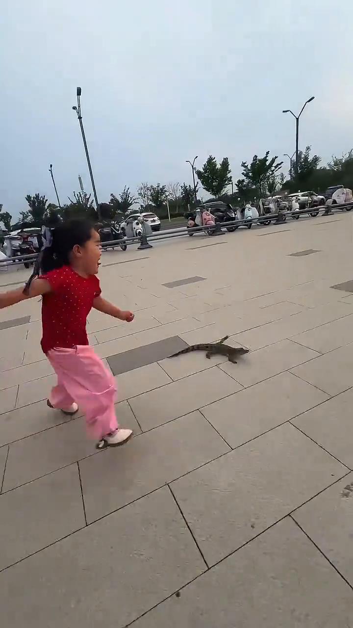 别跑，别动了，搞得我都烦死了。