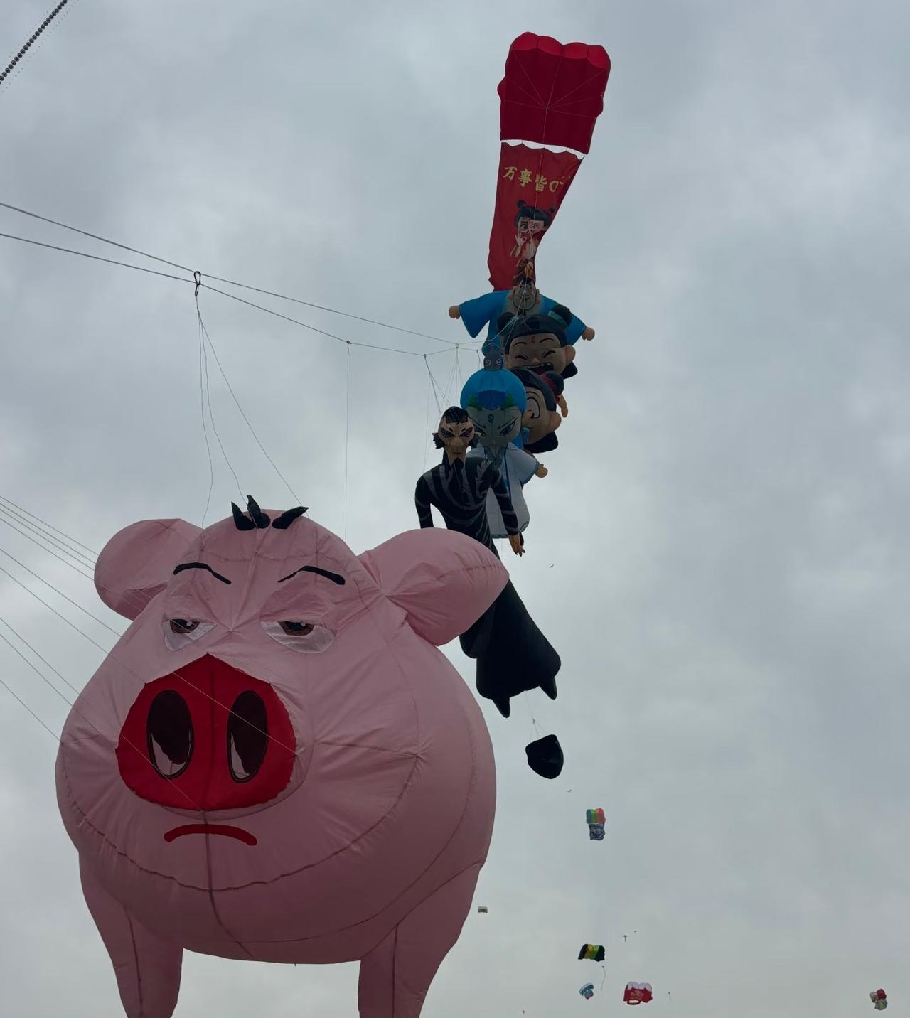 潍坊风筝节活动第2天，
给我一个最大的感受就是：
万物皆可飞上天！
真的一点都不