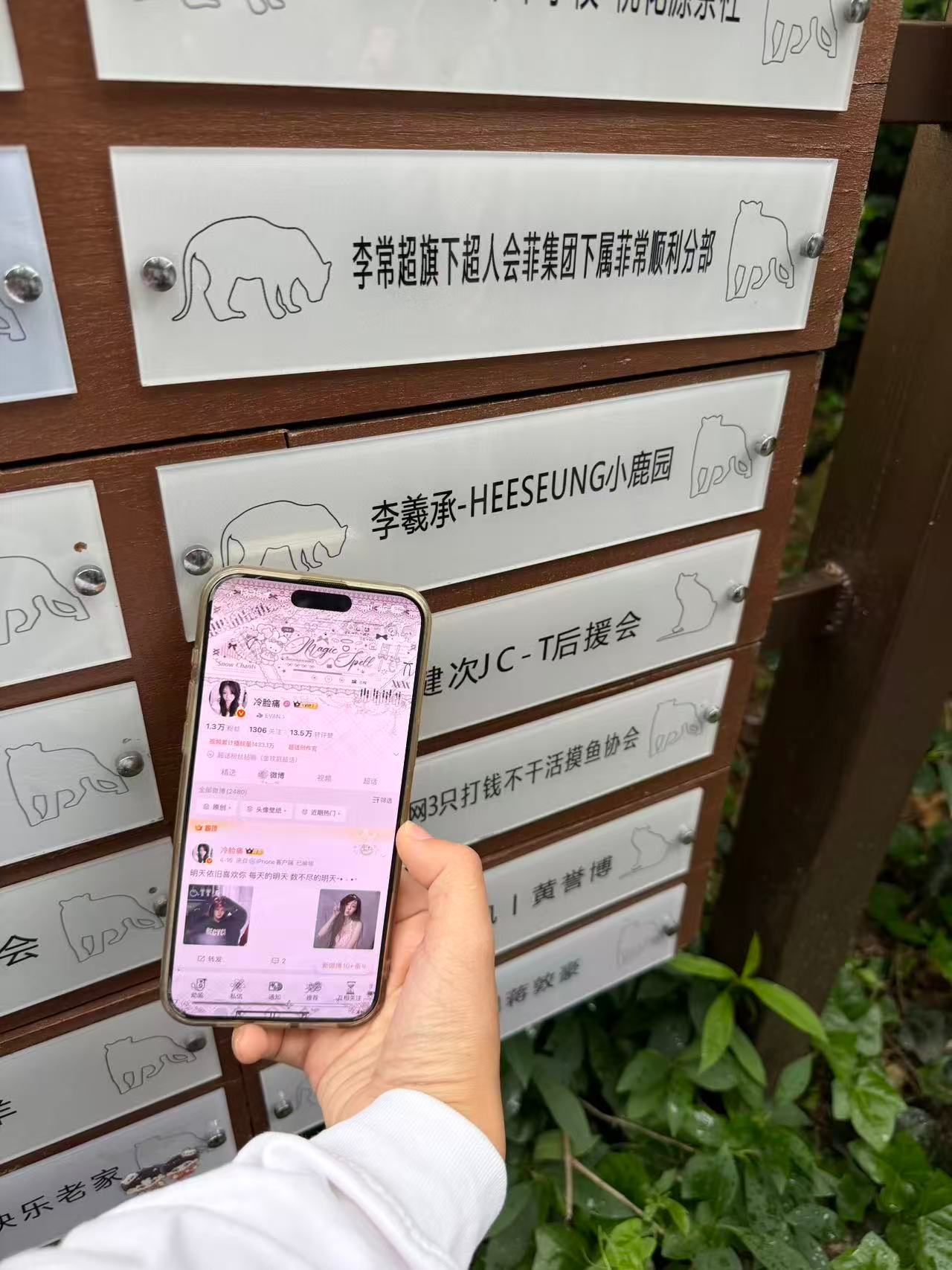 这个维生素很好